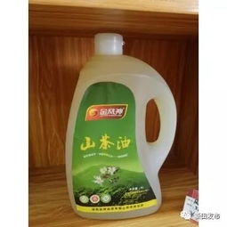 新田縣農(nóng)產(chǎn)品電商零售額突破八千萬，食用農(nóng)產(chǎn)品零售領跑市場
